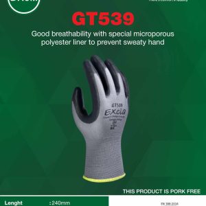 excia gt 539